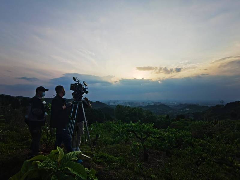 聚焦茂港区产品宣传视频拍摄公司，用专业实力铸就品牌传播传奇