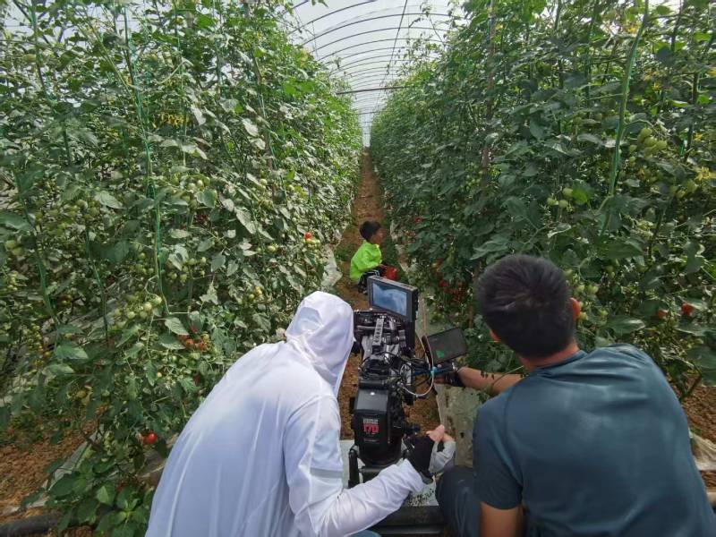 茂港区产品宣传视频拍摄公司进阶指南，助力品牌抢占传播高地